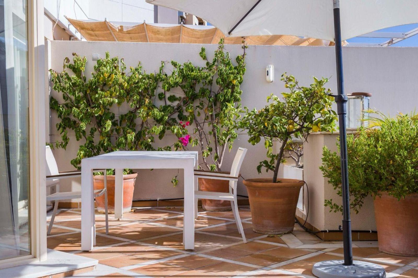 Molo Residences Boutique Apartments & Spa 마르베야 외부 사진